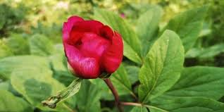 Anneler günü bu yıl 10 mayıs pazar günü kutlanacak. 2020 Anneler Gunu Mesajlari En Ozel Resimli Anneler Gunu Mesajlari