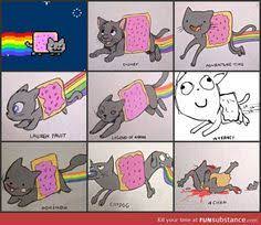 10 Nyan cat ideas | nyan cat, cats, neon cat