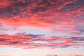Sky Wallpapers Free Hd Download 500 Hq Unsplash