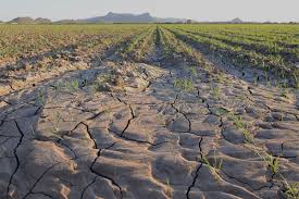 Image result for climate change