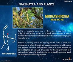 Friday Fact Friday Facts Hindu Philosophy Ayurvedic Herbs
