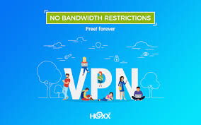 Go to chrome web store · step 2. Hoxx Vpn Proxy