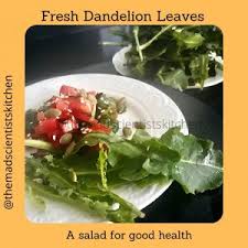 Beauty points sammeln & mit der douglas beauty card von exklusiven vorteilen profitieren. Fresh Dandelion Greens Salad Recipe The Mad Scientists Kitchen