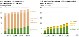 Soybean Oil Comprises A Larger Share Of Domestic Biodiesel