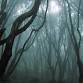 Hammond Hill Haunted Forest October 24 2025 event image