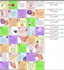 وفي الوقت نفسه أنتِ لم تدخلي بعد إلى مرحلة الثقل والضغط الحركي. Ø±ÙˆØ¨ÙŠ Ø²Ø­Ù Ø£Ù‚Ø­ÙˆØ§Ù† Ø§Ù„Ø§Ø³Ø¨ÙˆØ¹ Ø§Ù„Ø®Ø§Ù…Ø³ Ù…Ù† Ø§Ù„Ø­Ù…Ù„ Ø§ÙŠ Ø´Ù‡Ø± Metamorfotos Com