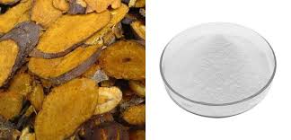 High Quality Resveratrol Extract Powder Manufacturers Suppliers - Factory  Direct Wholesale - JOYWIN