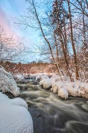 We did not find results for: Winter At Mass Audubon Broadmoor Wildlife Sanctuary Photograph By Juergen Roth