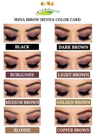 Professional Henna Brow Kit For Brow Artists Trainers In 2020 Henna Brows Henna Eyebrows Henna Color