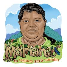 recuperación de territorios indígenas archivos