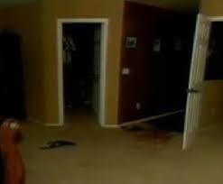 Many of the photos are extremely graphic i have come to believe that we should see these photos. Pin On Travis Alexander