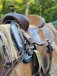Explore 7 listings for western saddle cinch at best prices. Western All Purpose Saddle Pad Performance Enhanced Cavallo Horse