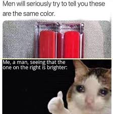 Men Will Seriously Try To Tell You These Are The Same Color Meme Ahseeit