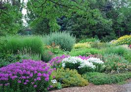 Waves Of Summer Color The Perennial Trials Garden At Colorado State University Traditional Landscape Dream Garden Beautiful Gardens