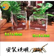 Crystal Acrylic Herp Pet Cage Small Box Mosquera Acrylic Pet Feeding Box Scorpion Scollops Pet Box01 Tarantula Enclosure Pet Cage Pets