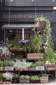 Untitled Magasins De Fleurs Boutique De Fleurs Et Jardin D Hiver
