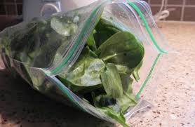 Not sure how to keep spinach? How To Freeze Fresh Spinach Eat At Home