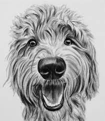 Please let me know if you have any questions or would. Custom Pet Portrait Charcoal Pet Drawing Pet Sketch Etsy Dog Art Labradoodle Art Dog Paintings