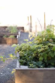 what to plant this summer for a fall and winter vegetable garden boxwoodavenue com winter vegetables gardening fall garden vegetables vegetable garden design