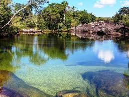 We did not find results for: Verde Cano Cristales La Macarena Meta Mapio Net