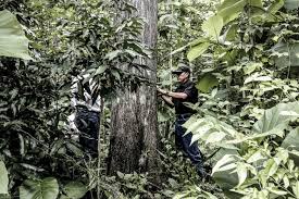 Find great deals on used indonesian teak for sale in south africa. Teak Tradition And Innovation How Gloster Is Reviving Itself Stylepark