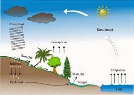 Cairan pada molekul bisa memperoleh cukup sebuah energi di dalam bentuk. Siklus Hidrologi Dan Proses Proses Terjadinya