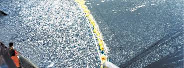 Overfishing - SeaChoice