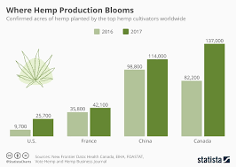 chart where hemp production blooms statista