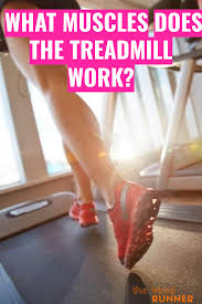 What Muscles Does The Treadmill Work In 2020 Running On Treadmill Marathon Training Plan Treadmill Workouts