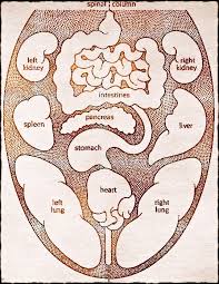 Diagnostic Tongue Maps Elemental Changes Oriental Medical Arts Wendy Brown Lic Ac 828 281 4330 Acupunture In As Tongue Health Acupuncture Ayurveda
