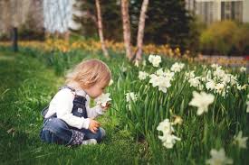 Keeping your grass an inch longer will help the soil keep moisture by shielding it from the sun. How To Maintain Your Garden Properly