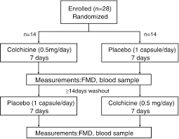 Colchicine is used for the treatment of gout flares to relieve pain and swelling. Effect Of Short Term Colchicine Treatment On Endothelial Function In Patients With Coronary Artery Disease International Journal Of Cardiology