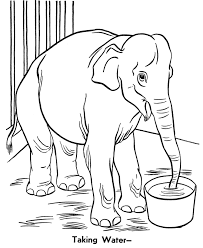 Elephant coloring pages your #toddler :here are some printable elephant coloring sheets for your kids with some information on each image. Elephant Coloring Pages To Print Coloring Home