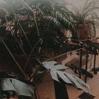 Check spelling or type a new query. Directia Taxe Si Impozite Sector 1 PiaÈa RomanÄ Bukarest BucureÈti