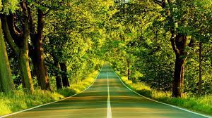 Nature Wallpaper Hd For Desktop Free Download Full Hd Wallpapers 1080p Nature 1920x1080 Download Hd Wallpaper Wallpapertip 1920x1080 best hd wallpapers of nature, full hd, hdtv, fhd, 1080p desktop backgrounds for pc & mac, laptop, tablet, mobile phone.