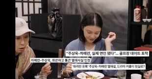 주상욱 母, 차예련 골프장 스캔들에 "눈 여겨 보던 배우, 너무 좋아"('차장금차예련') - 조선비즈