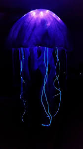 Jellyfish Costume Made With Led Lights And El Wire Purchased Online A Clear Umbrella Some Fabric Large Bubble Jellyfish Costume Jellyfish Burning Man Art