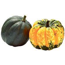 Often called a vegetable, squash, by botanical definition, is considered a fruit because it has its seeds on the inside. Kurbis Acorn Gelb Grun Ca 1kg Gunstig Kaufen Coop Ch