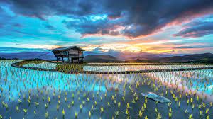 Huge Wallpaper Dump Windows 10 Lock Screen Images 1920 X 1080 Background Hd Wallpaper Chiang Mai Wallpaper Windows 10