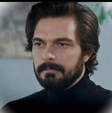 Which Shadloui hairstyle do you like most?