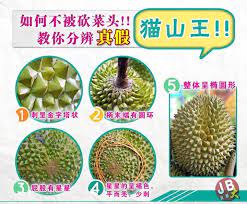 不要再被卖榴莲的人骗了 5招教你分辨真假猫山王 food guide food fruit
