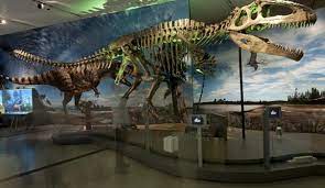 Ultimate Dinosaurs At The Canadian Museum Of Nature Savvymom