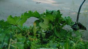 We did not find results for: Funny Gifs Motion Gif Vsgif Com