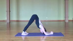 yoga poses for beginners yoga journal
