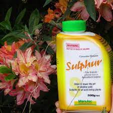 Maybe you would like to learn more about one of these? Sulphur Granular 500g The Seed Collection