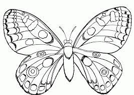 Butterflies but also ants, spiders, beetles. Insects For Kids Coloring Pages Coloring Home