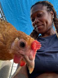 Everything Backyard Chicken!