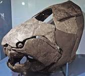 Beware: Ancient Jaws from Ohio Rivers!