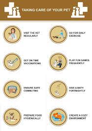 The Pet Economy Pets Daily Workout Your Pet