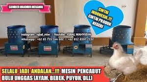 Kebakaran diduga berasal dari korsleting listrik dan kerugian di. Pabrik Tisu Klaten Jual Mesin Cabut Bulu Bebek Pedaging Dokterandalan